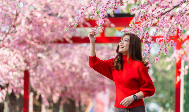 Romantic Gangtok & Lachung Getaway — Sikkim